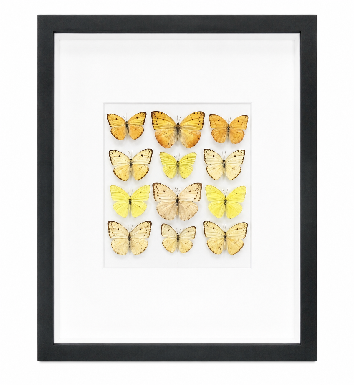 WALL ART — Accessory Preview Inc.